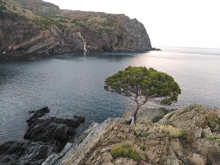 Hostal Sant Jordi Tossa de Mar Buitenkant foto